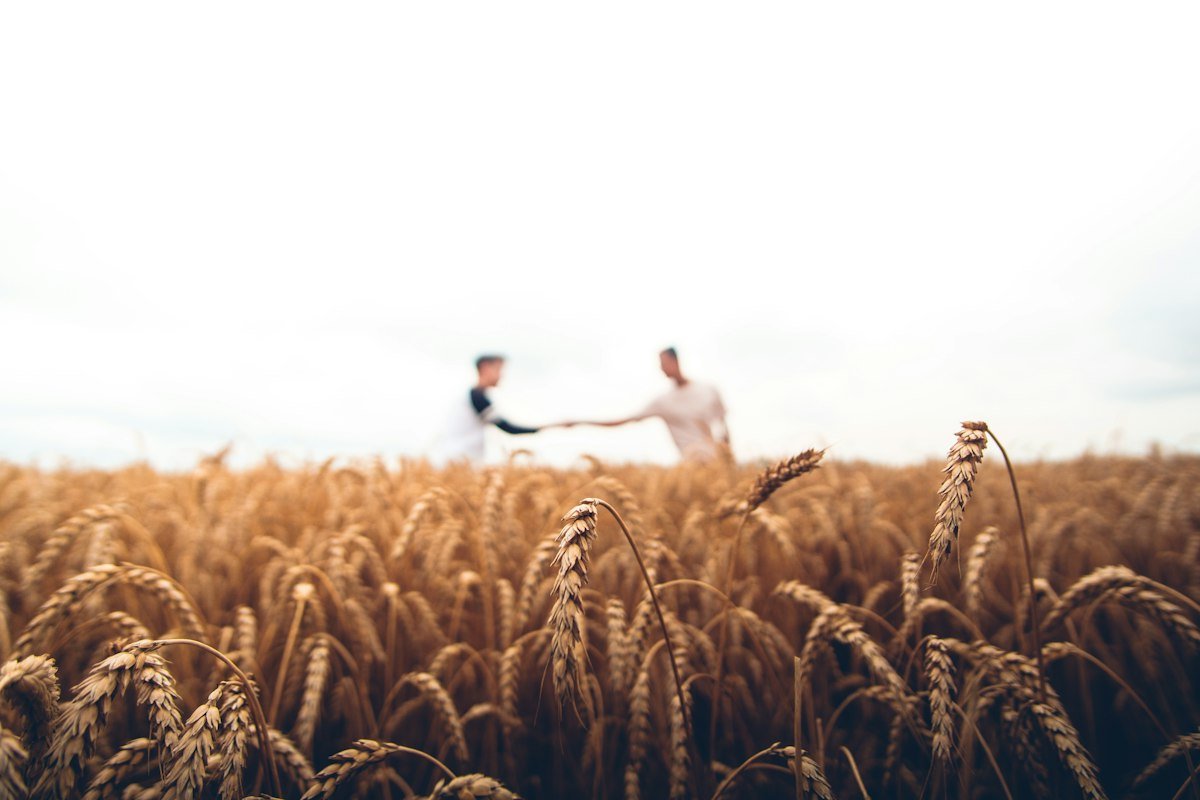 Farm-to-Fork: How Hyperlocal Sourcing Transforms Your Food Economy